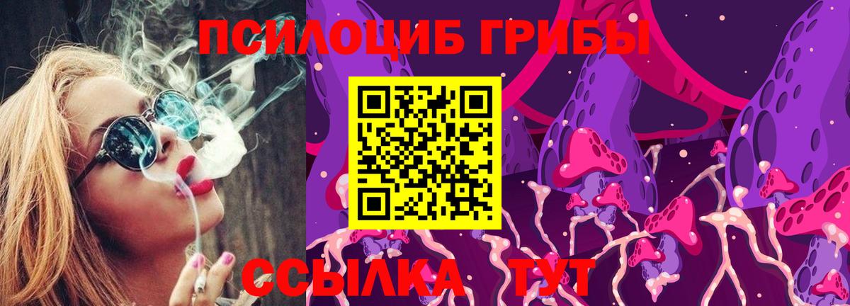 купить  сайты  Галлюциногенные грибы GOLDEN TEACHER  Вход с VPN  Рязань 